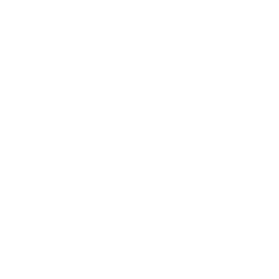 infysion financial software solutions