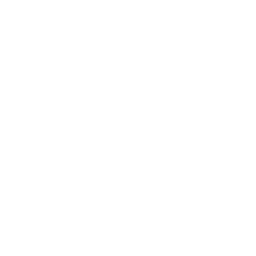 infysion industrial software solutions