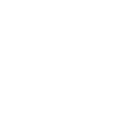 infysion energy software development