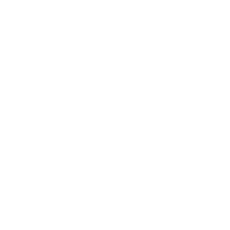 infysion energy software development