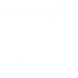 enterprise-grade security