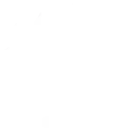 ai consulting
